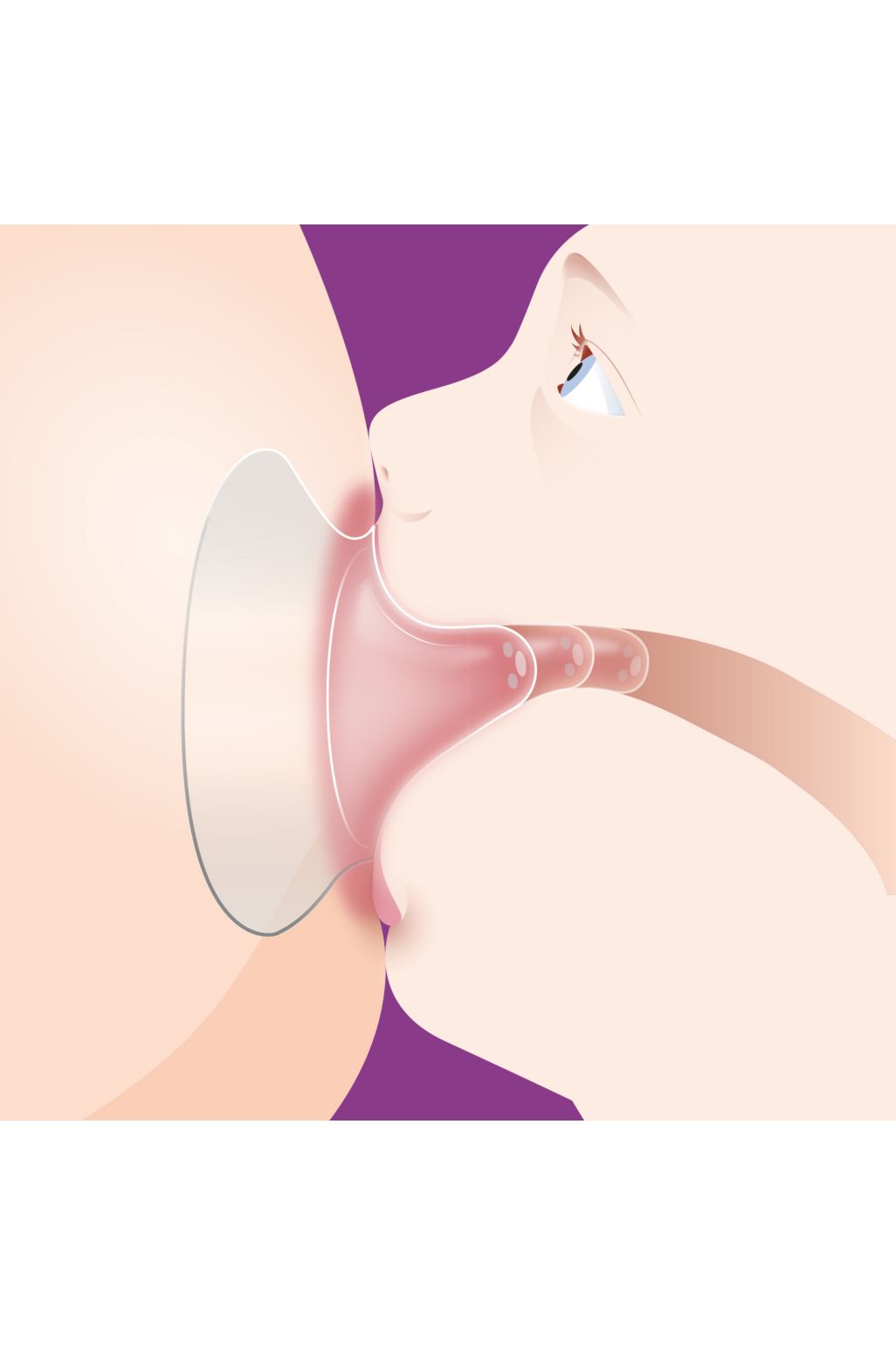 Philips Avent small nipple protectors