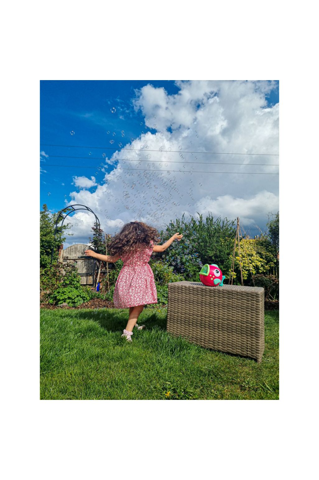 ELC bubbly fish Flora