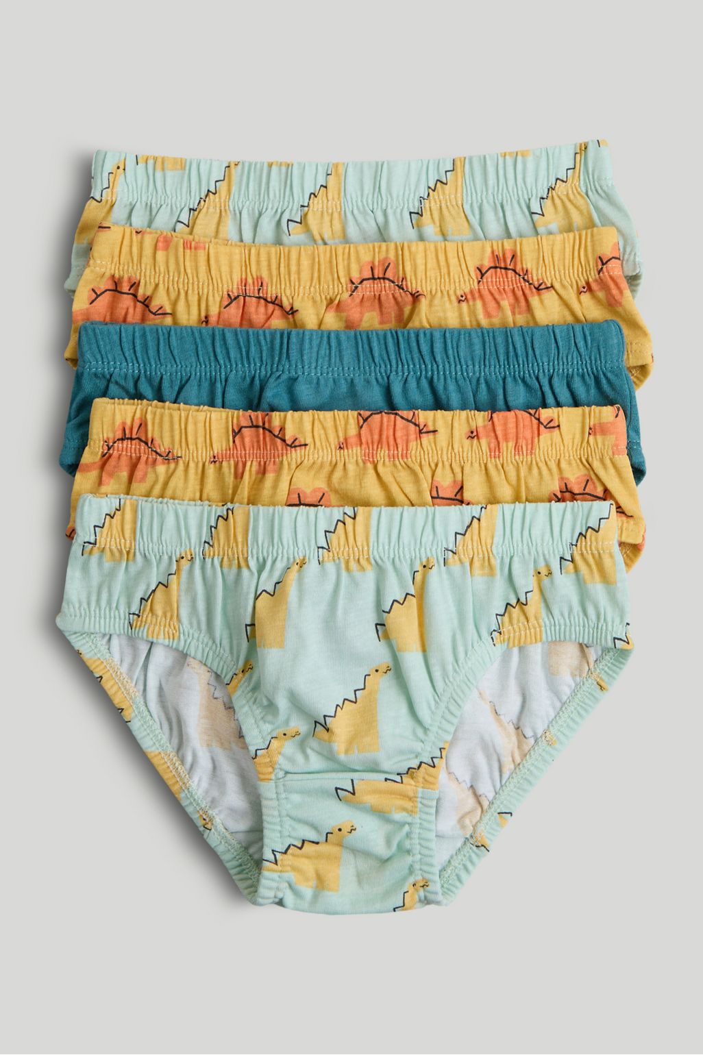 5 Pack Dinosaur Briefs