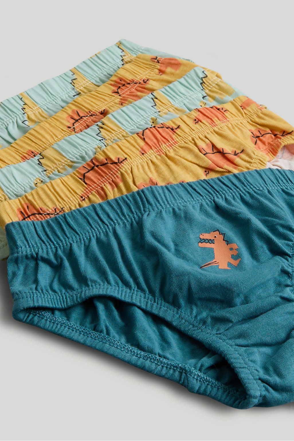 5 Pack Dinosaur Briefs
